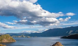 一起去流浪